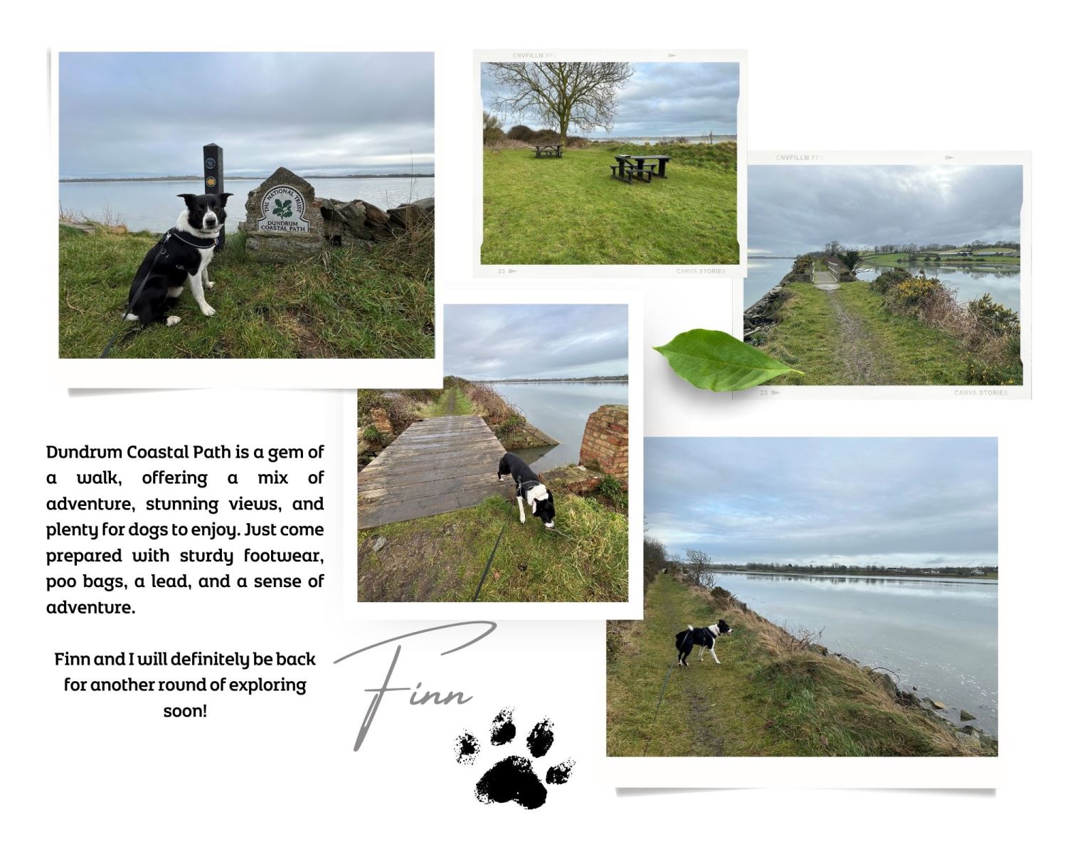 Dundrum Coastal Path Image Collage